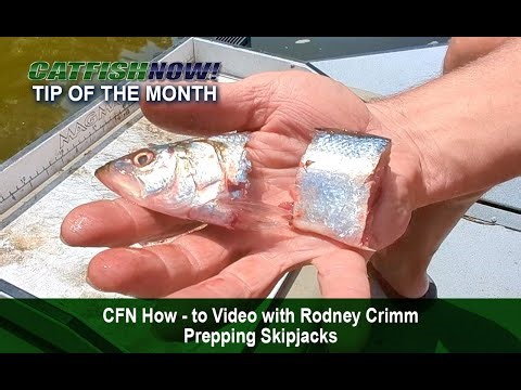 CFN How-to Video with Rodney Crimm—Prepping Skipjacks