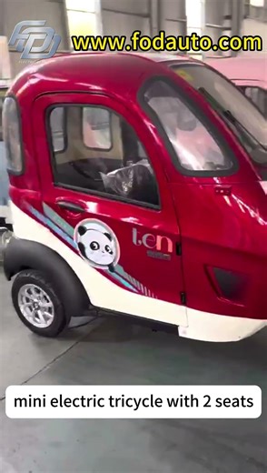 mini electric cabin scooter 1000W electric tricycle with 2 seats