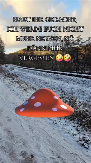 Spaß muss sein 😁#snow#💀denis💀 #funny #fy