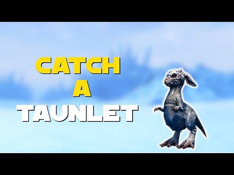 SWTOR Taunlet Secret Pet Guide
