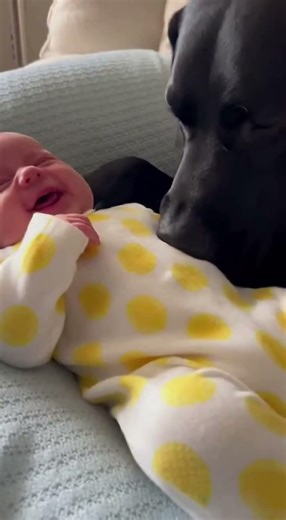 This Baby's Laugh is Pure Gold! 🤣🐶 #shorts#babylaugh #dogkisses