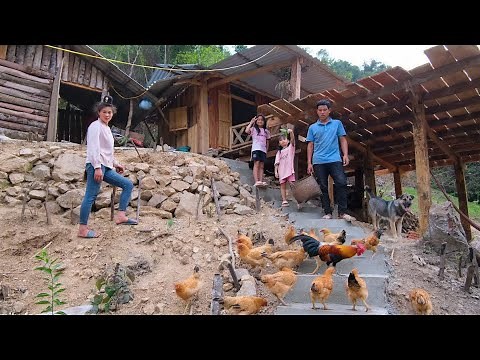Completing the Stairs Down to the Barn, Chicken Lunch at the Farm with Daughter | Family Farm
