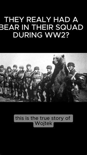 The WWII Soldier That Was Actually A BEAR Wojtek🐻🍻 #shorts