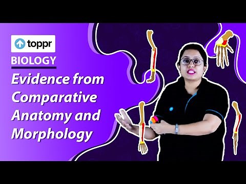 Evidence from Comparative Anatomy and Morphology | Evolution | Class 12 Biology