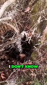 51K views · 616 reactions | Found next to an old cistern. #metaldetecting #history #treasurehunt | History Seekers | Facebook