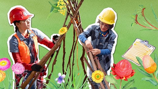 Construct a Cubby! - ABC Kids