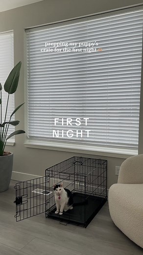 Crate Training Tips: Prepping Your Puppy's Crate for the First Night