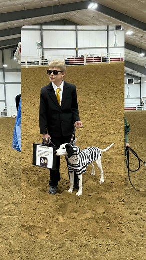 1.3K views · 50 reactions | Always a crazy night with the fun loving NCRHA gang of rebels, riders and reindeer? Thank you to Claudia Peltier for bringing the celebration to new heights! Congratulations to everyone!! | North Central Reining Horse Association | Facebook