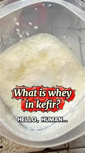 What is Kefir whey? #kefirlabs #kefirinfermentin