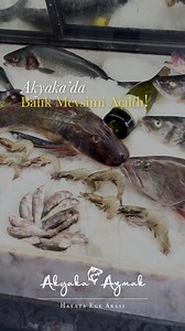 16K views · 50 reactions |  Taptaze balıklarımız, nefis...