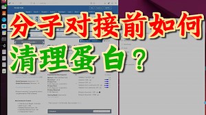 用pymol简单处理分子对接前的蛋白