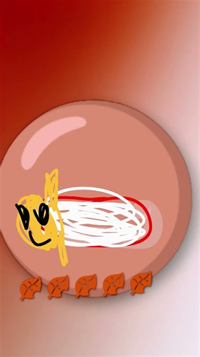 幼虫から成虫まで。カナブン
