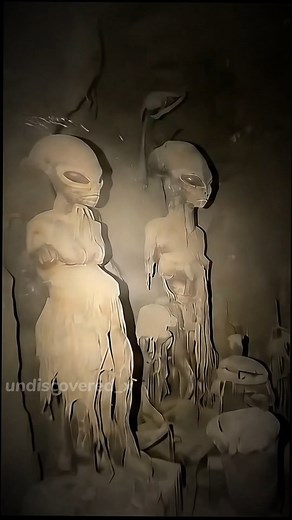 #expedition #AncientMystery #lostcivilizations #antarcticasecrets #conspiracy #flatearth #aliens #extraterrestrial #dino #Dinosaur #Desert #Fossils #undiscovered_x | the undiscovered