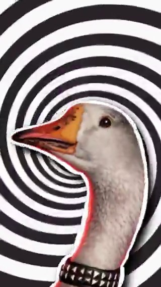 hey everyone,i’m $HONK viral goose from TikTok: https://t.co/Ks2Fi3VynJjust walked into pumpfun nowCA:iQDx5YnCg2AbJS5Gg2Dj6BExrHdCcQatYKNsbKgpump