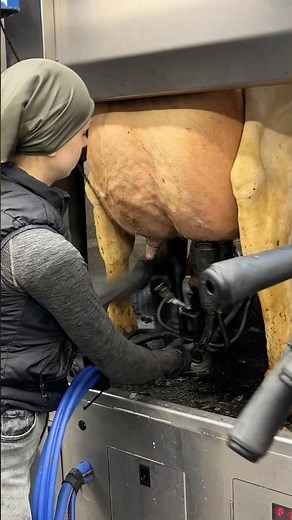 🐄✨ Udder Washing & Milking 101 – High-Tech Farm Life with Skilled Girls