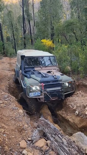 The L Defender on Instagram: "On the trail where they belong! Follow @theldefender for more! 🎥: @myarmytruck #landroverdefender #landrover #defender #offroad #defenderlove #offroadextreme #4x4 #defender90 #defender110 #defender130 #newdefender #car #suv #landy #truck #defenderlife #defenders #landroverphotos #overland #td4 #td5 #v8 #newdefender #creator #defender2020 #bigwheels #outdoor #expeditionvehicle #viral #landy #truck #defenderlife #defenders #landroverphotos #theldefender"