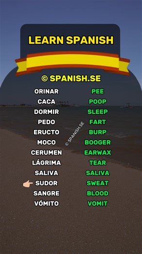 1.4M views · 30K reactions | Spanish phrases for beginners  New to Spanish? Subscribe and level up quickly! #spanish #español #spain #learning #learnspanish | Spanish.se | Facebook