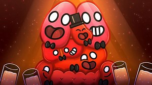 Who is the best organ?!