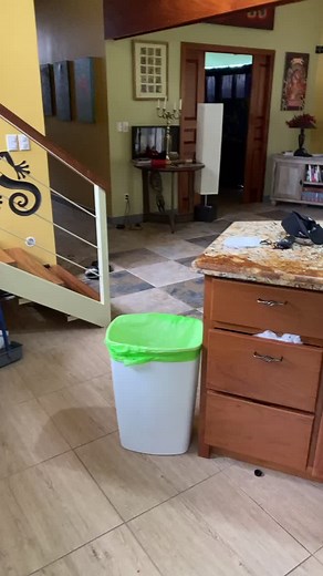 Crumpled Paper Toss Into Green Trash Bin