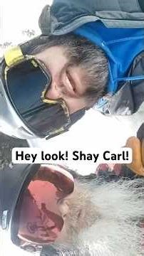 Look who we found! YOUTUBE star and family vlogger SHAY CARL! 🤩🙌 give him some love! @shaycarl