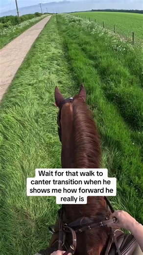 Experiencing the Amazing Walk to Canter Transition with a Special Horse