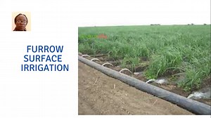 Cost analysis of setting Up Irrigation For An acre ( Part 3) Types of Irrigation What was the lesson learnt in series 1 and 2? If you haven't, check them in the previous day post | Farmvilla Resource Centre | Facebook