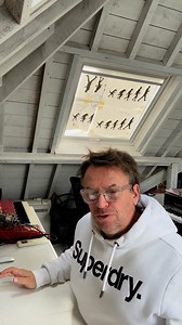 Lots going on for 'The Sun Will Come Again' featuring some epic M1 organs... 🔊 | Chicane