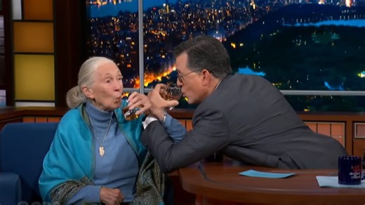 Jane Goodall Reveals That Chimps Are Not Her Favorite Animal… And Which Animal Is!