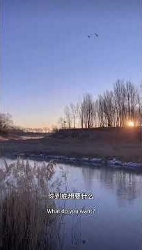 别再做“职场包子” Don't be a pushover in the workplace.#职场生存 #自我主张 ##人际关系 #心理成长#CareerAdvice #SelfAdvocacy