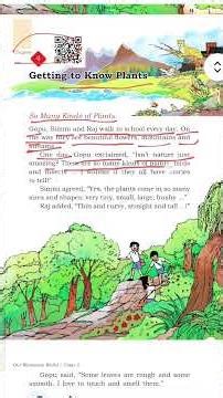 class 3 chapter 4 EVS ncert textbook #class3evs