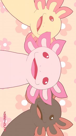 Axolotl Trio Animation Part | Less Swearing | wingedwolf94