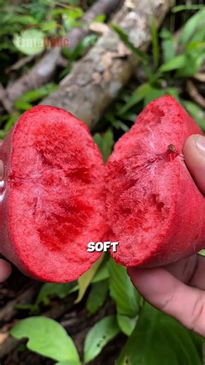 What kind of Fruits?