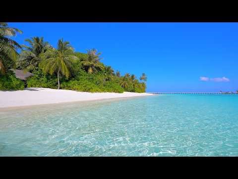 Paradise Found: Ocean and Wild Beach! Maldives 4K ULTRA HD