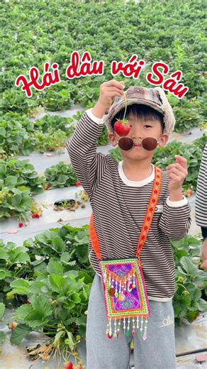 🍓🍓🍓 #nhasaunho #emsau #vlog #sauhello