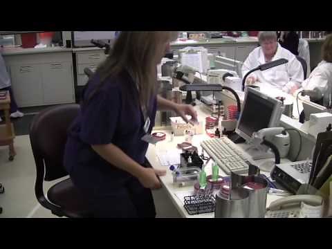 Work Shift: Medical laboratory technician