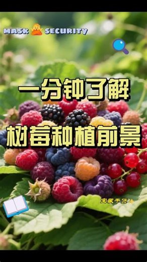 一分钟了解树莓种植前景#树莓 #采摘园 #农业创业 #乡村振兴 #种植技术