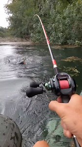 1.6M views · 15K reactions | Small aggressive catfish swallow my whopper plopper  silure surface#fishing #catfish #catfishfishing | Hoodfishing_entertainment | Facebook