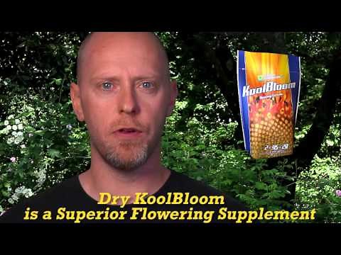 KoolBloom