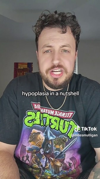 Understanding CH Cats: What You Need to Know