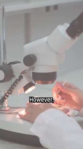 517K views · 9.7K reactions | Freshwater snails are more dangerous than you think. #Science #Research #Biology #Snails | Hashem Al-Ghaili | Facebook