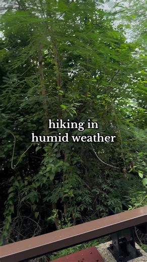 Hiking in Taiwan's Humid Summer Weather