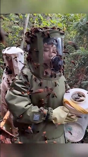 🐝Giant Hornets | World’s Most Dangerous Insect 🐝#beekeeping #honey #hornets #hornets #hornet #short🐝