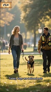 ​"Did We Tame Wolves... Or Did They Tame Us?"