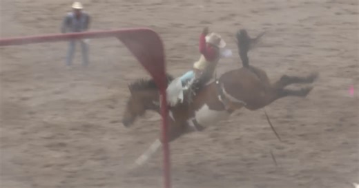 WATCH: Day three of CFD rodeo