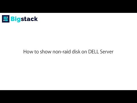 Dell Server - show non-raid disk