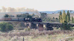 9.8K views · 207 reactions | Another Perfect Canberra Steam Train Rides Day Limited Seats For Easter Monday, Plus Saturday 13th & Sunday 14th April - Book Your Seats Now You can also visit our friends at the Canberra Railway Museum and check out their collection www.picnictrain.com.au/canberra-picnic-train | The Picnic Train | Facebook