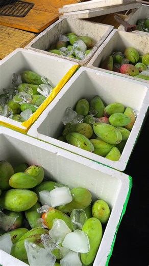 Xoài dầm cay ô mai #suamamnhi #changalien #xoàidầm #xuhuong2026 #trétrộn