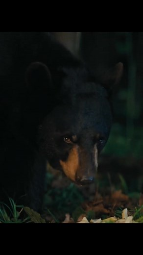 7.3K views · 49 reactions | WatchFull/Title; https://movieshd.site/LiZiU8?iwi2892oeieo3oor #MOVIE #FLICK #CINEMA #SHOW #MOTIONPICTURE #FEATURE #PICTURE #FOOD #HEALTH #SPORTS #AMERICA #USA #GERMANY #FRANCE #UK #MONOCO #AUSTRALIA #SAUDIARABIA #CANADA #SOUTHAFRICA #SWEDEN #AUSTRIA #EUROPE #FILM #MOVIE #RISINGCREATOR #FORYOU #TRENDING #VIRAL #FYP | Movies Dimensions | Facebook