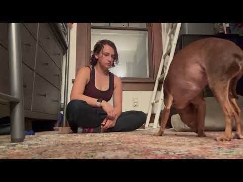 Peanut Counterconditioning Midway Progress