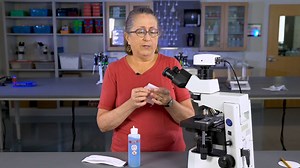 Calibrating the Microscope